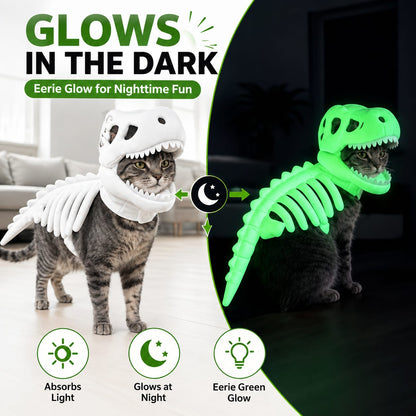 Dinosaur Skeleton Glow-in-the-Dark Cat Costume