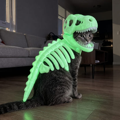 Dinosaur Skeleton Glow-in-the-Dark Cat Costume